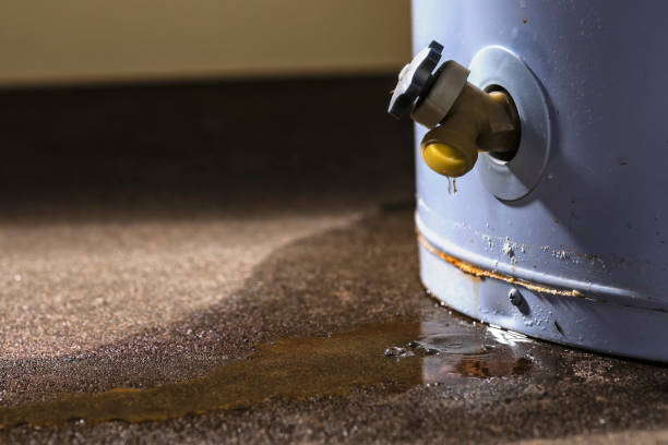 Best Carpet water damage restoration  in Grosse Pointe, MI
