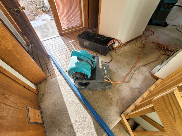 Best Emergency water damage restoration  in Grosse Pointe, MI
