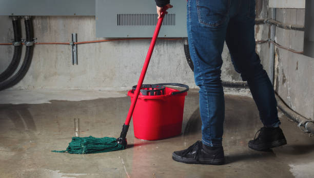 Best Water damage cleanup near me  in Grosse Pointe, MI