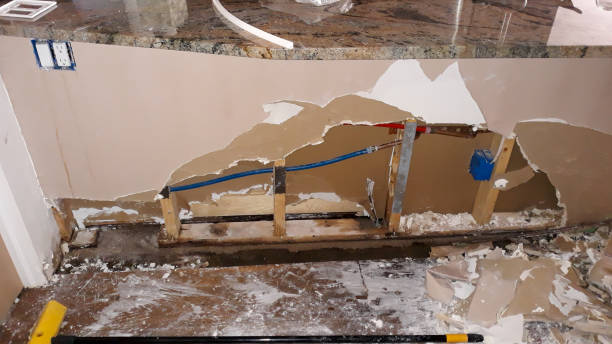 Best Water damage restoration specialists  in Grosse Pointe, MI