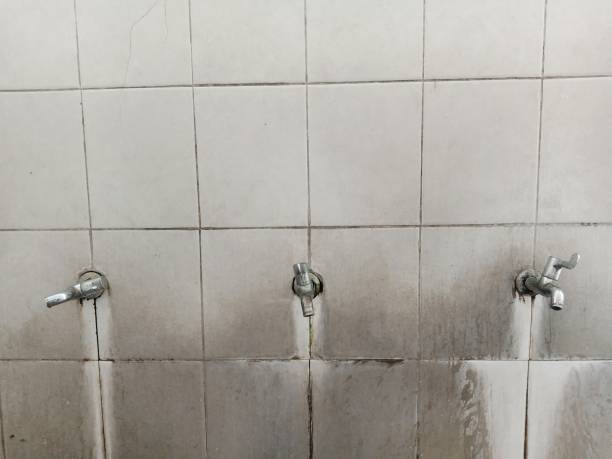 Best Emergency water damage restoration  in Grosse Pointe, MI