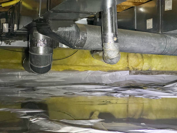 Best Local water damage restoration  in Grosse Pointe, MI