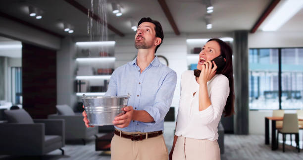 Best Commercial water damage restoration  in Grosse Pointe, MI