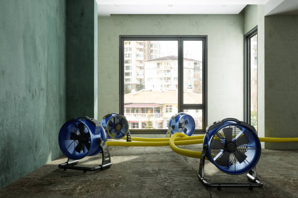 Best Water damage restoration cost  in Grosse Pointe, MI