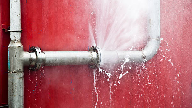 Best Residential water damage restoration  in Grosse Pointe, MI